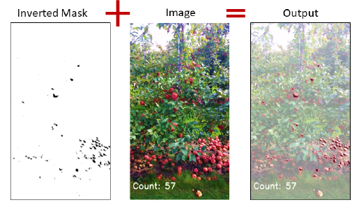 Apple counting mask method